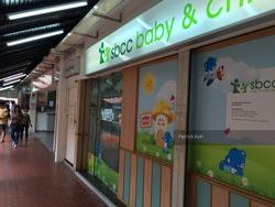 Blk 236 Bishan Street 22 (Bishan), HDB 5 Rooms #109268442